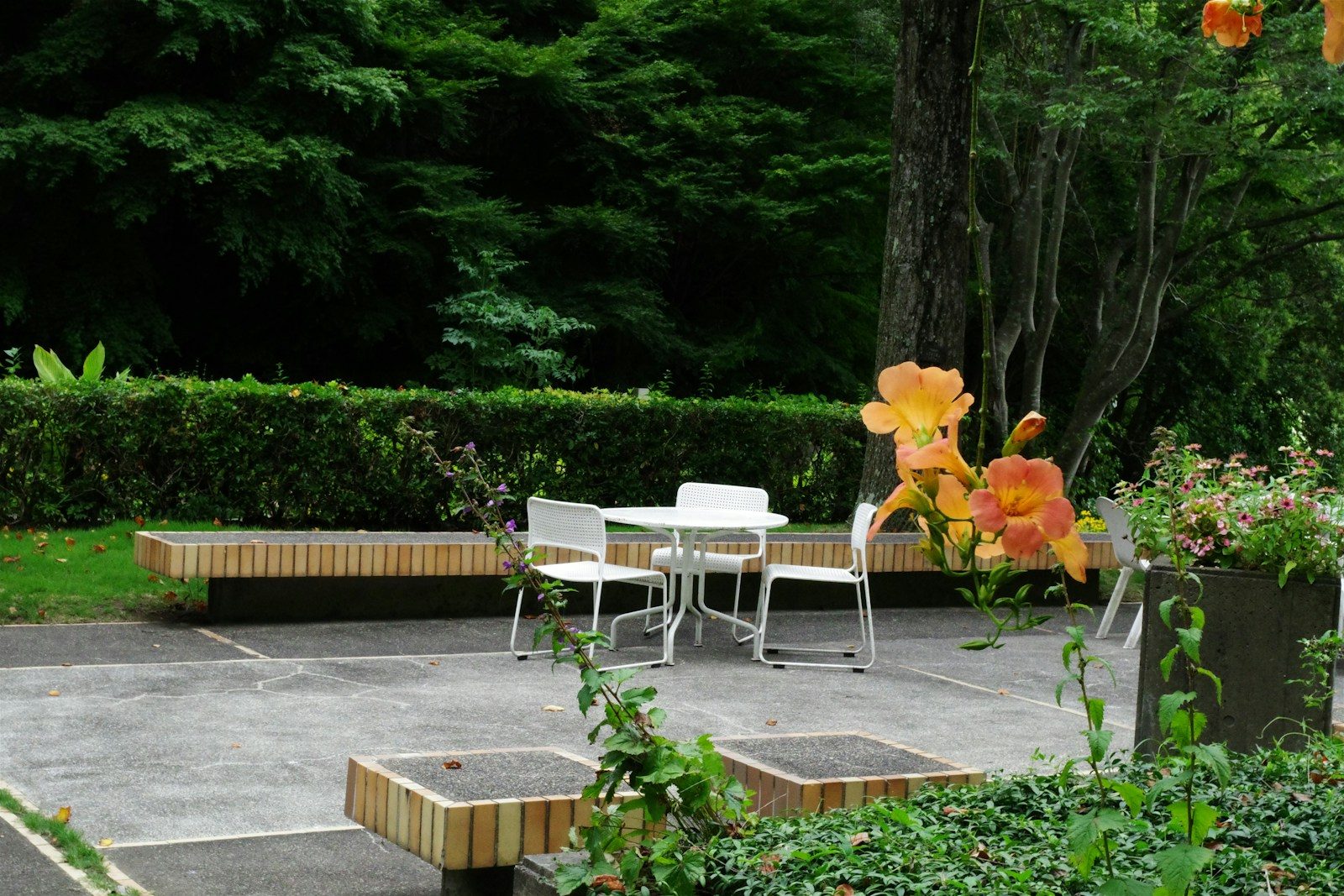 A patio with a table, chairs and flowers